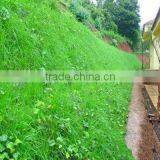 Ecological Non Woven Bags thumbnail-2