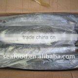 Frozen King Fish Mackerel thumbnail-1