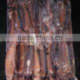 Frozen W/R Squid Illex Argentinus thumbnail-4