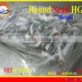 FROZEN ROUND SCAD HGT thumbnail-4