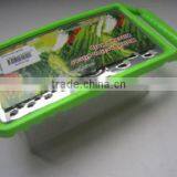 Multi Fruit and Vegetable Grater Vegetable Plane With Container thumbnail-4