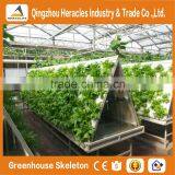 Agricultural Greenhouses For Soilless Hydroponics / Nft Systems For Tropical And Desert Areas thumbnail-6