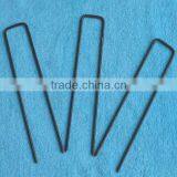 Garden Spikes thumbnail-5