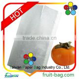 persimmon newest fruit promotion kraft paper bag persimmon bag