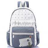 Fashion Canvas Bag, Backpack Bag, Travel Bag, Computer Bag, Kids Bag