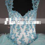Plus Size Sweetheart Straps Bling Beads Western Pattern Blue Quinceanera Dresses Ball Gown thumbnail-3