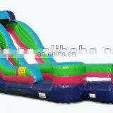 Inflatable PVC Slide, Inflatable Game China, Commercial Inflatable Slide DS075