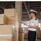 Professional customs clearance service agent