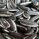Melon Seed Drying Machine thumbnail-5