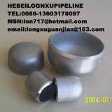 Stainless Steel Casing Cap