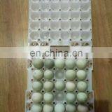 PP Material Egg Container 30 Holes Plastic Egg Tray thumbnail-6