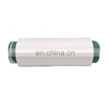 Factory Hot Selling 100% Nylon 6 Nylon 66 Dty 6 Nylon 100d36f Knitting Yarn