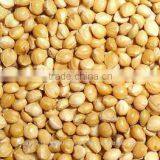 YELLOW MILLET thumbnail-1