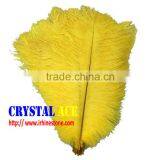 Dyed Ostric Feather, Feather Ostric Plumes for Carnival Costumes thumbnail-5