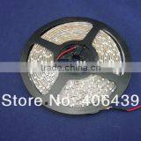 Purple 3528 Single Color 60 Led Strip Dc12v Ip65 Waterproof Silicon Coating White Pcb thumbnail-5