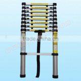 Folding Aluminium Telescopic Ladder
