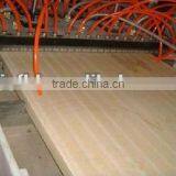 Wood and Plastic Plate Production Line