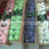 Silk Hydrangea Dry Looking