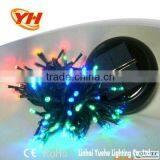 Indoor Christmas Mini String Light With ce