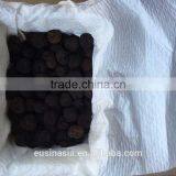 1-3cm fresh black truffle fresh tuber indicum