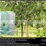 Banana Bag thumbnail-4