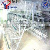 Layer Egg Chicken Cage/poultry Farm House Design thumbnail-2