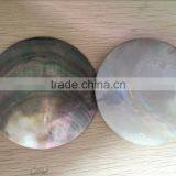 Polished Black Lip Mother of Pearl Shell Disc