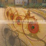 Raking and Tedding, Straw,grass,wheat,alfalfa Collection Machine thumbnail-6