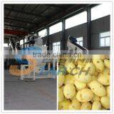 Cheap Price Small Capacity Potato Peeler Without Breakage thumbnail-1