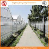 China Supplier Multi-span 7.2m Plastic PE Film Agriculture Greenhouse for Sale thumbnail-6