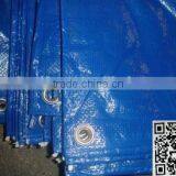 Durable Coated PE Tarpaulin, PE Tarpaulin Roll thumbnail-4