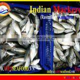 W/R FROZEN INDIAN MACKEREL thumbnail-4