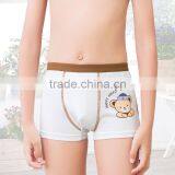 New Style 7 to 14 Years Old Transpant Kids Thong Underwear for Boys thumbnail-2