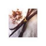 Sell Grade A1 Vanilla Pods (Mauritius) thumbnail-1