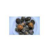 Gold and Jade thumbnail-1