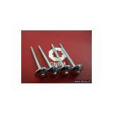 Roofing Nail thumbnail-1