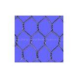 Hexagonal Wire Netting thumbnail-3