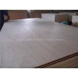 Good Quality Linyi Ruisen Ash & Bintangor Plywood for Furniture