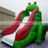 Inflatable Frog Water Slide/Used Fiberglass Water Slide for Sale thumbnail-4