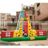 Funny Inflatable Rock Climbing Wall Giant Climbing Wall for Sale Outdoor Used Climbing Wall thumbnail-3