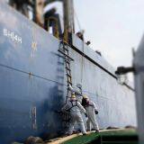 Tianjin To KARACHI FCL Transport (20GP/40GP/40HC/Special Container ) CIF thumbnail-3