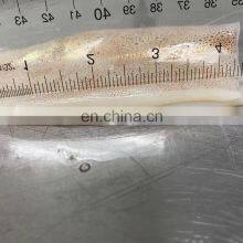 Hot Sale IQF Frozen Squid Fillet Head off Wing on thumbnail-2