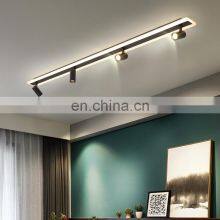 10W 20W 30W Adjustable Powder Coating Focus Cob Ultra Bright Office LED Track Light