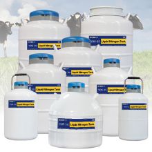 Guatemala nitrogen semen tank KGSQ cattle semen storage
