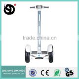 2016 new design Factory price Mini Two Wheel Electric Chariot Scooter with handle