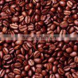 VIETNAM ROBUSTA COFFEE BEANS WITH BEST PRICE