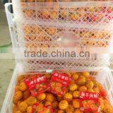 Baby Mandarin/ Fresh Mandarin Orange/Chinese Baby Mandarins thumbnail-1
