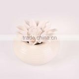 Clay flower Fragrance diffuser with aroma ceramic vase and plaster flower for promotion                        
                                                Quality Choice