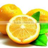 organic citrus limon extract, herbal, powder