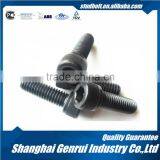 Hexagon Socket Cap Screw With Low Head Din7984